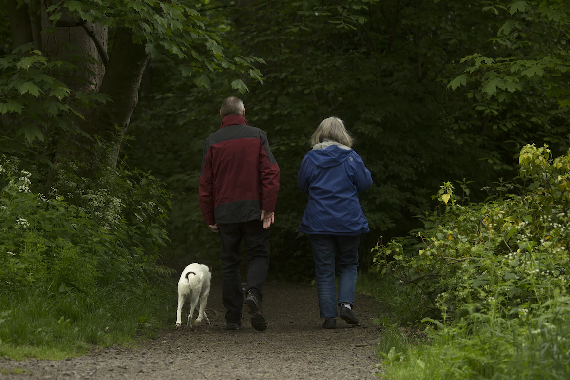 What is Pension Drawdown?
