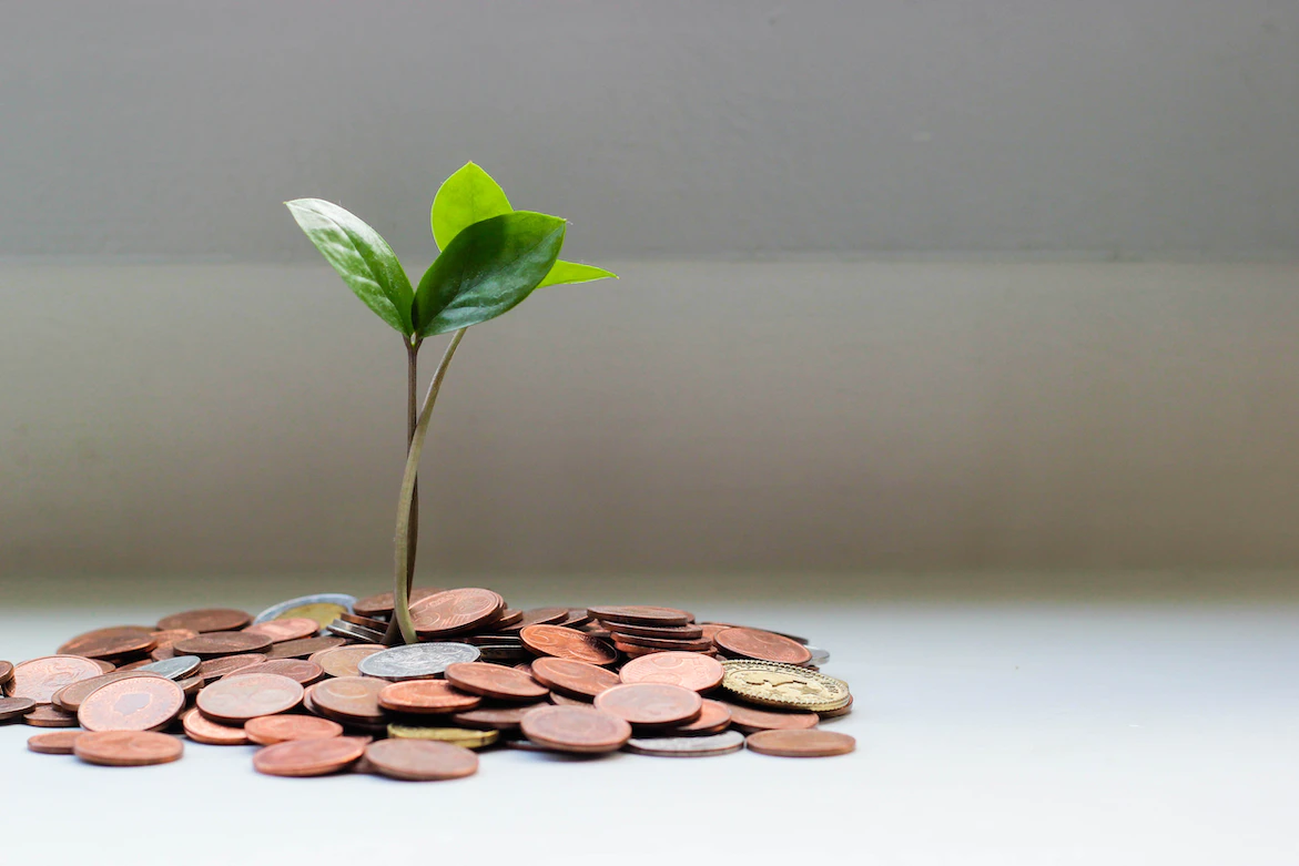 Individual Savings Accounts (ISA)